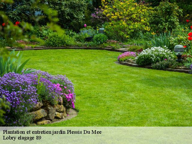 Plantation et entretien jardin  plessis-du-mee-89260 Lobry elagage 89