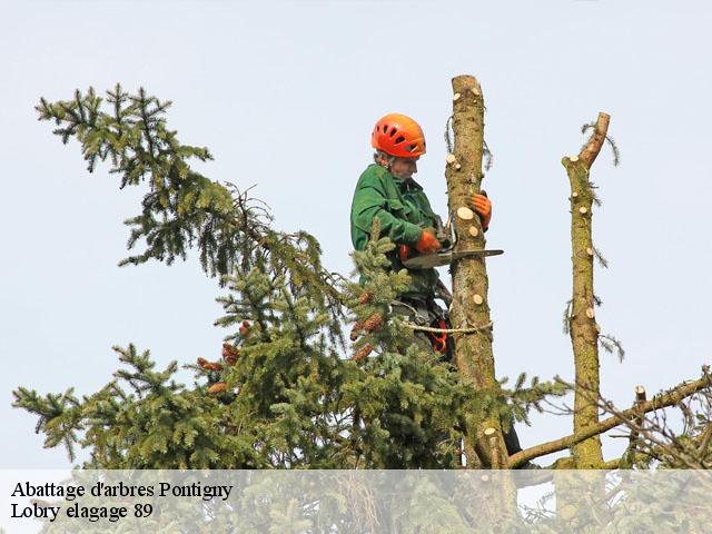 Abattage d'arbres  pontigny-89230 Lobry elagage 89