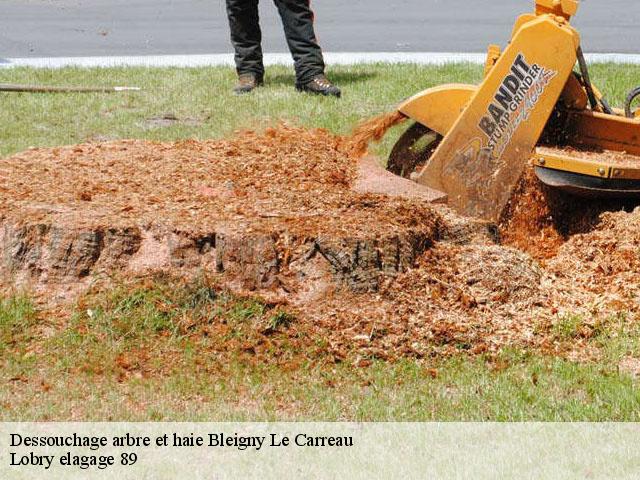 Dessouchage arbre et haie  bleigny-le-carreau-89230 Lobry elagage 89